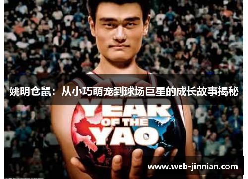 姚明仓鼠：从小巧萌宠到球场巨星的成长故事揭秘
